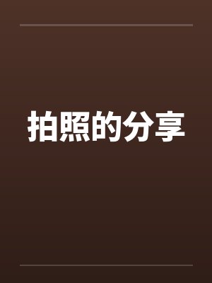 娱乐从王牌开始